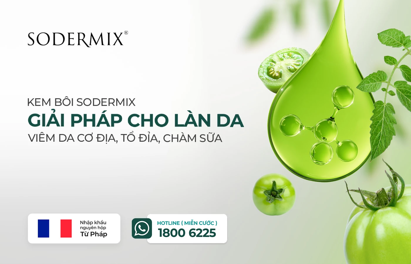 banner mobi giai phap vdcd (2) small.webp